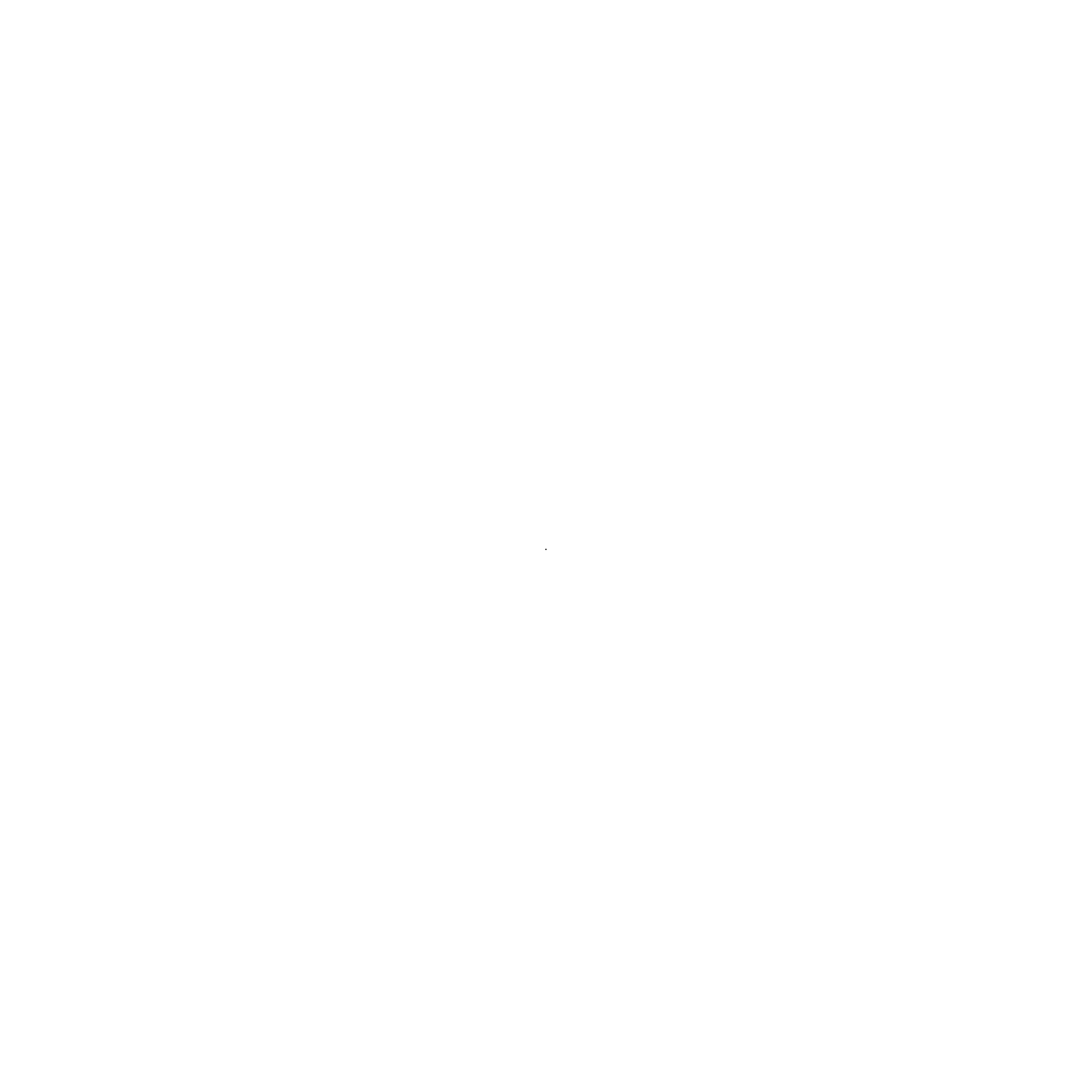 Vega Eye Logo
